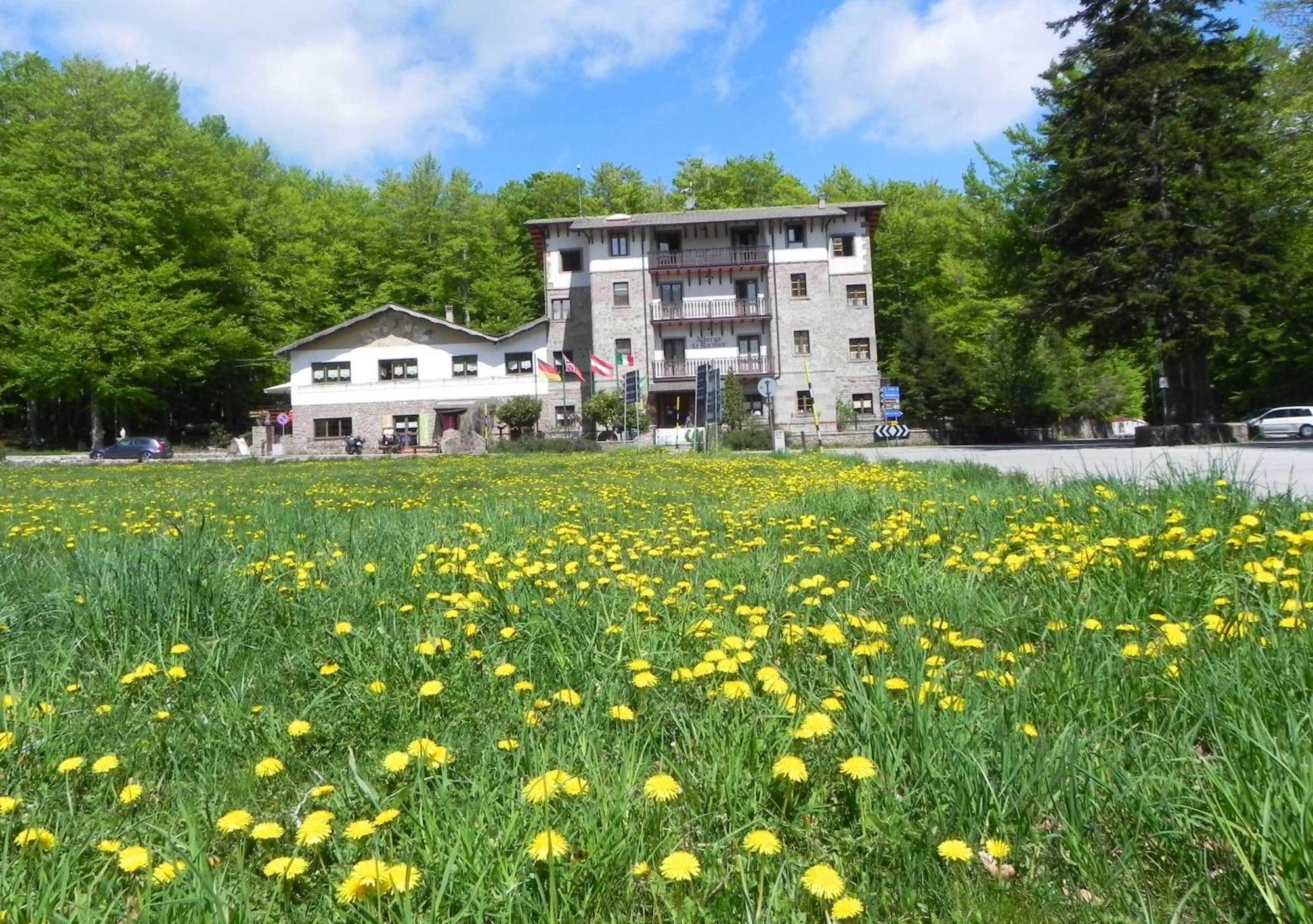 Albergo Le Macinaie - Monte Amiata Кастель-дель-Пьяно Экстерьер фото