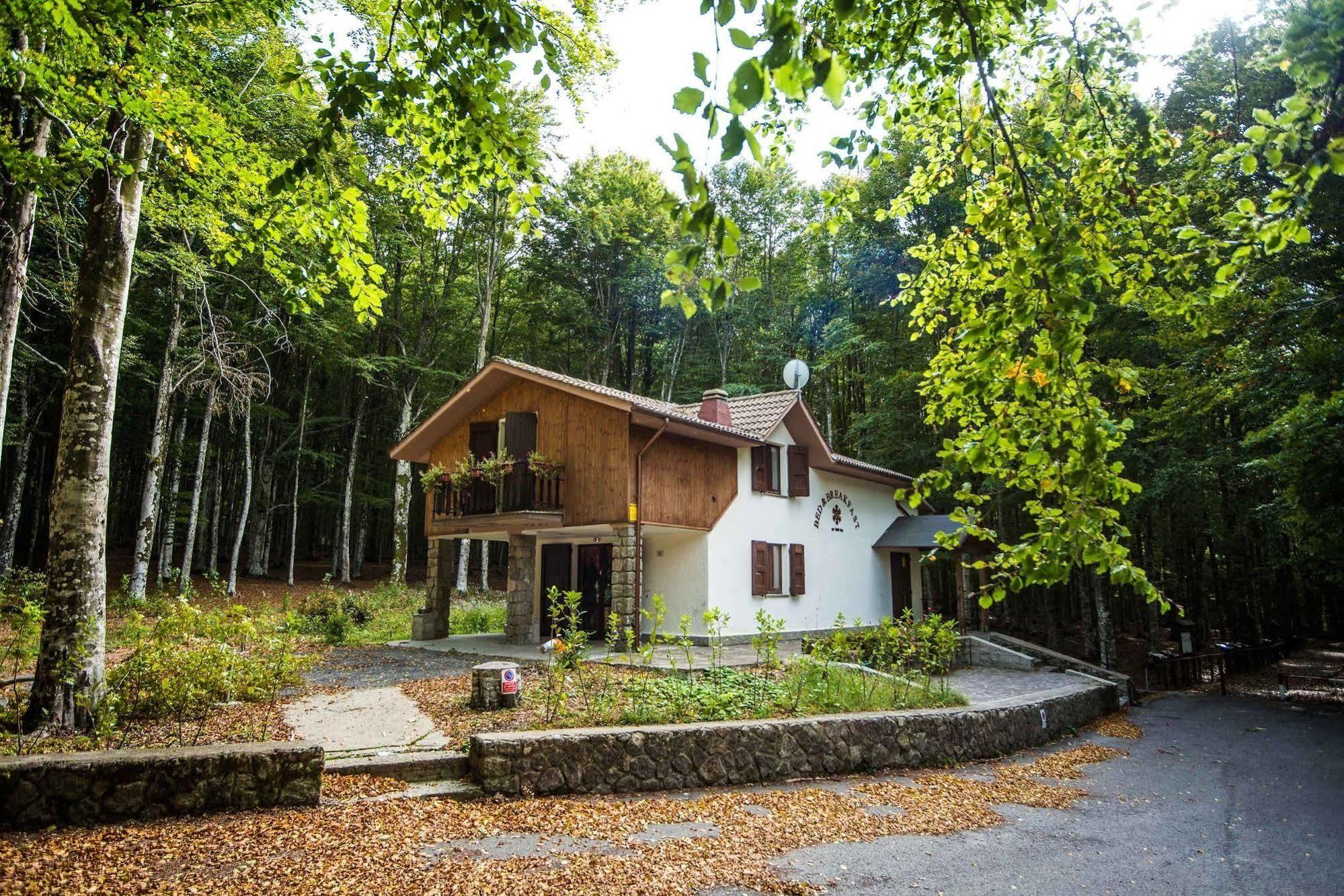 Albergo Le Macinaie - Monte Amiata Кастель-дель-Пьяно Экстерьер фото